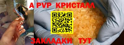ГАЛЛЮЦИНОГЕННЫЕ ГРИБЫ Кингисепп