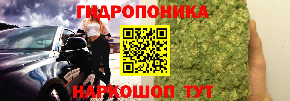 Бошки марихуана White Widow Курск